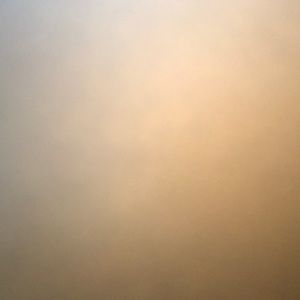 Meet your Posher, Chantelle